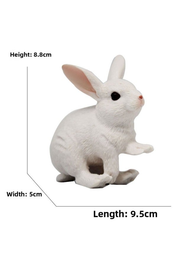 Animal Model Special For Teaching And Education Animal Model Kangaroo Elephant Lion Tiger Deer Ostrich Wolf-Color:679 White Rabbit (165g)  - Image 1