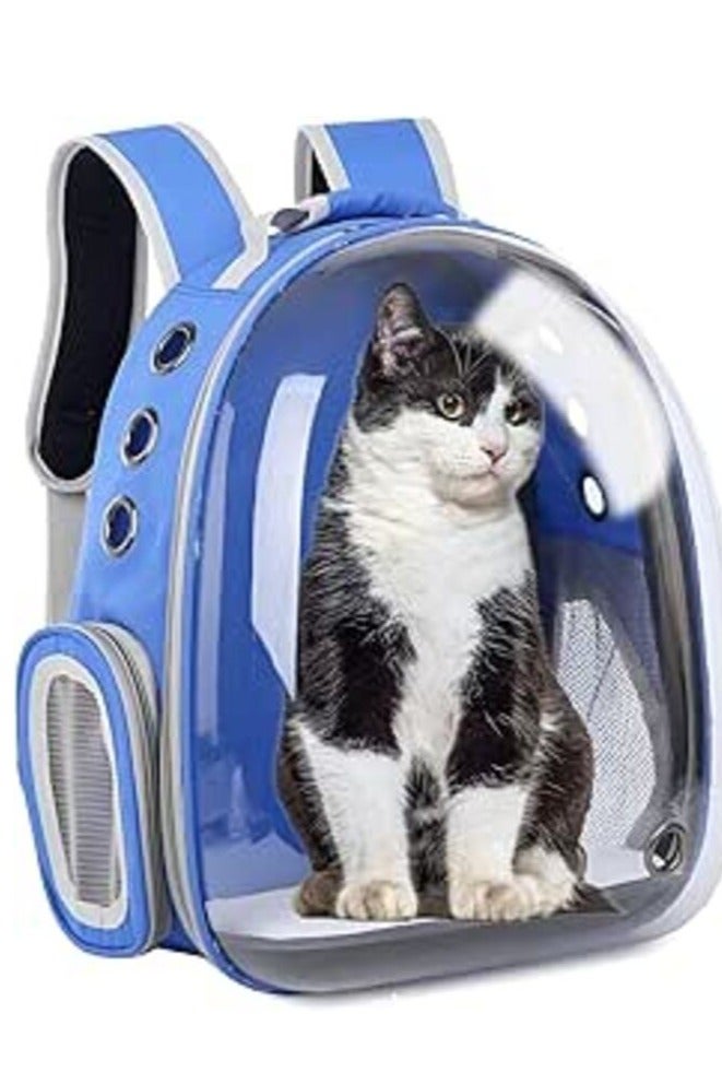 حقيبة ظهر القط