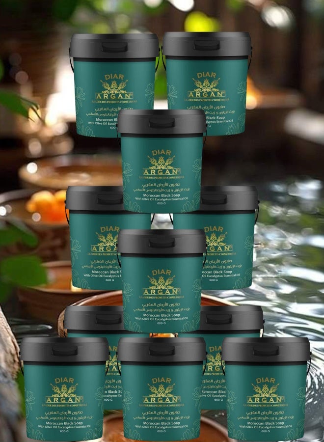 Diar Argan 11 Pieces Moroccan Argan Soap with Olive Oil and Eucalyptus Oil 600grams - Image 1