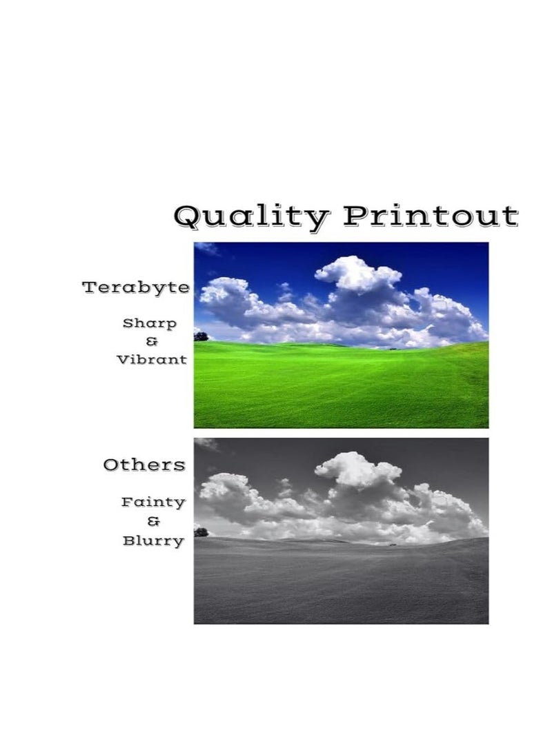 Terabyte Compatible for 203X 203A CF540X CF541X CF542X CF543X CF540A High Yield Toner Cartridge replacement for LaserJet Pro M254dw M254nw, MFP M281fdw M281fdn, MFP M280nw - Image 3