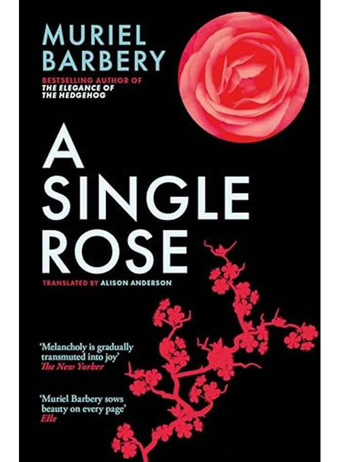 A Single Rose 
