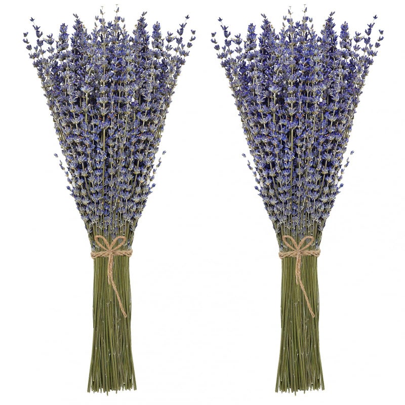 Timoo Dried Lavender Bundles 100 Natural Dried Lavender Flowers for Home Decoration, Photo Props, Home Fragrance, 2 Bundles Pack - Image 1