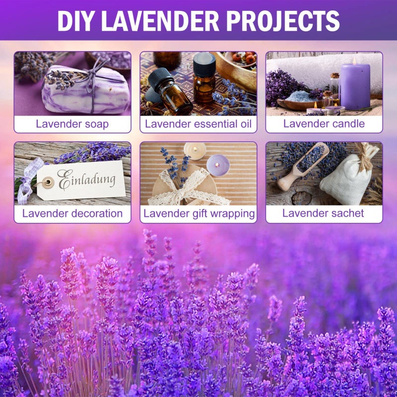 Timoo Dried Lavender Bundles 100 Natural Dried Lavender Flowers for Home Decoration, Photo Props, Home Fragrance, 2 Bundles Pack - Image 3