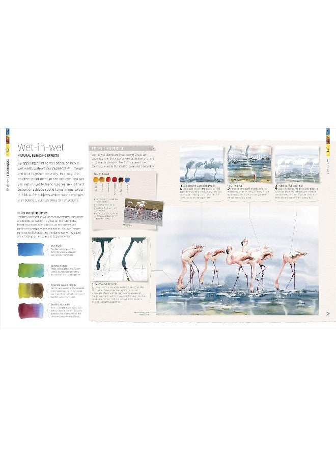 Watercolour Techniques for Artists and Illustrators: Discover how to paint landscapes, people, still lifes, and more.
