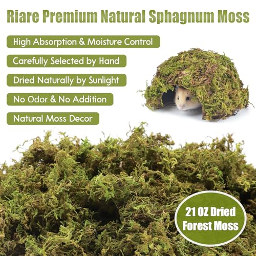 Riare 25QT Natural Hamster Moss Bedding Nesting-Soft Forest Moss Hamster Habitat Reptile Moss for Dwarf Syrian Hamsters, Mices, Gerbils, Reptiles, Small Pets (1.3LBS) - Image 2