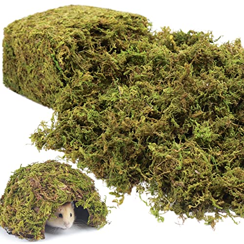 Riare 25QT Natural Hamster Moss Bedding Nesting-Soft Forest Moss Hamster Habitat Reptile Moss for Dwarf Syrian Hamsters, Mices, Gerbils, Reptiles, Small Pets (1.3LBS) - Image 1