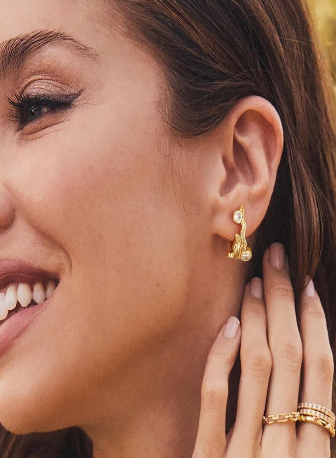 BENEIGE Gold Hoop Earrings for Women Dainty 14K Gold Plated Huggie Earrings with Cubic Zircon Sea Grass Jewelry - Image 3