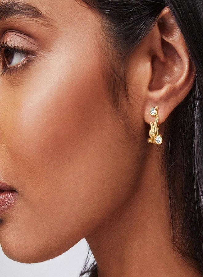 BENEIGE Gold Hoop Earrings for Women Dainty 14K Gold Plated Huggie Earrings with Cubic Zircon Sea Grass Jewelry - Image 2