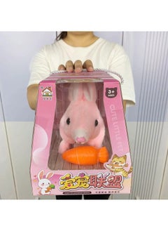 Generic Electronic Pet Will Call Stuffed Rabbit Toy Simulation Puppy Educational Crawling Toy Gift Source Wholesale-Color:6698-1 Rabbit  - Image 1