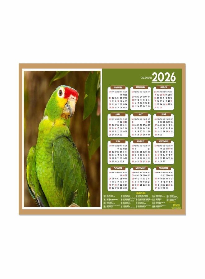 ESCAPER تقويم حائط ESCAPER 2026 - تصميم طيور لطيفة، 45 × 30 سم، ببغاوات خضراء، ديكور غرفة الأطفال، تقويم معلق للمنزل وهدية - Image 1