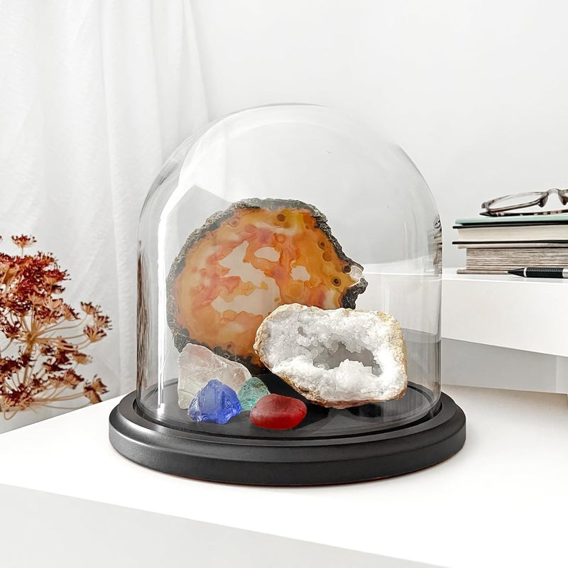 Plymor 8" x 8" Glass Display Dome Cloche (Black MDF Wood Base) - Image 2