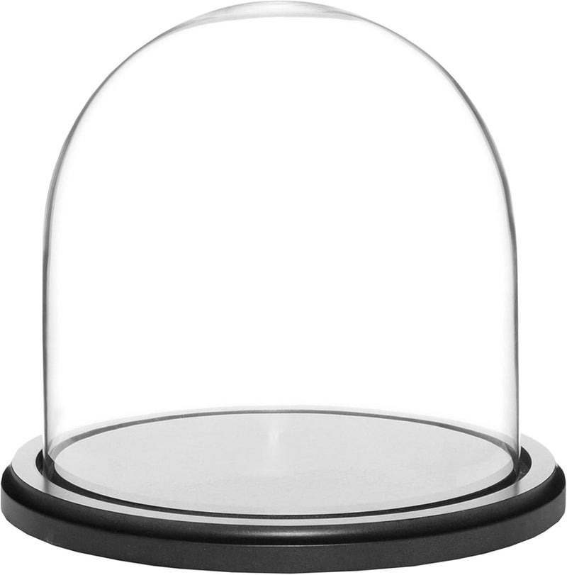 Plymor 8" x 8" Glass Display Dome Cloche (Black MDF Wood Base) - Image 1