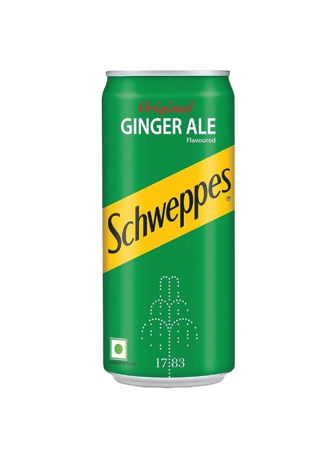 شويبس زنجبيل ألي 300 مل 24 قطعة – عرض مشروب منعش