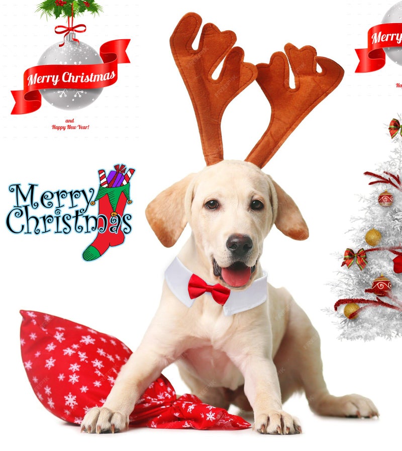 Koolmox Dog Bow Ties for Large Dogs, KOOLMOX Red Tuxedo for Dogs, Tuxedo Dog Neck Bow Red with Adjustable White Collar Formal Pet Collar Necktie for Small Medium Large Boy Dog Tuxedo Tux Wedding Outfits - Image 4