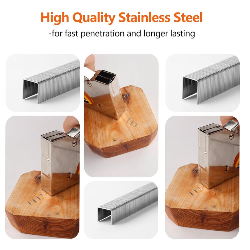 SITLDY Heavy Duty T50 304 Stainless Steel Staples 3520-Count 4 Sizes Includes: 5/16", 3/8", 1/2", 9/16", Assorted Size Project Pack for T50 Stapler - Image 2