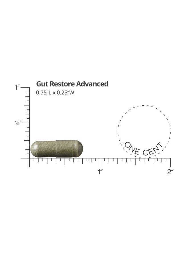 Dr. Drew Sinatra’S Lifebiome Gut Restore Advanced Maximum Strength Microbiome Probiotic With Fermented Botanicals 11 Multi Strains 30 Once Daily Capsules Vegetarian Soy Dairy And Gluten Free