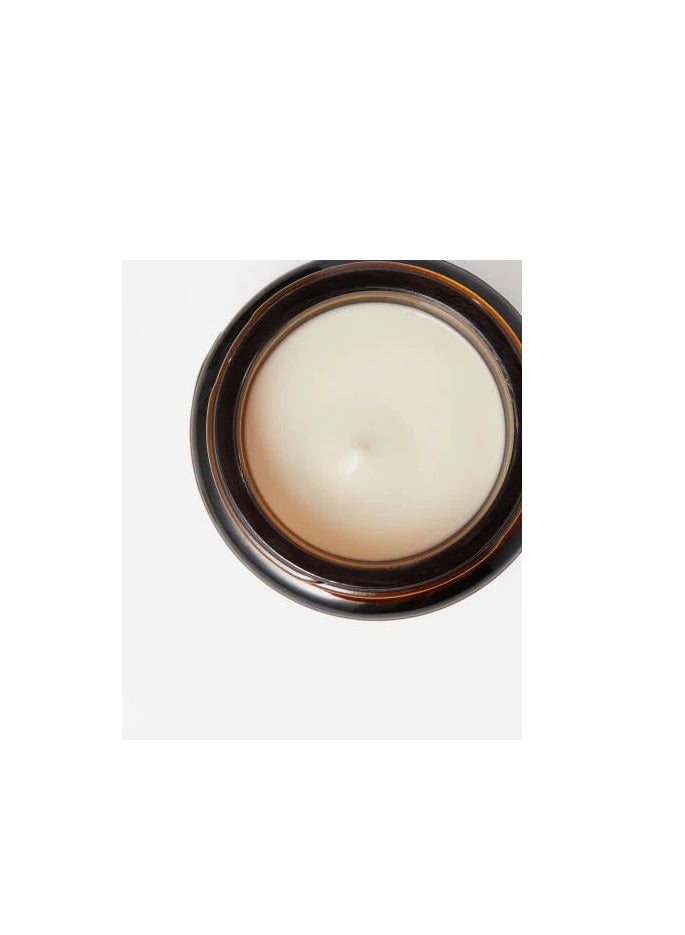 Aesop Parsley Seed Anti-Oxidant Facial Hydrating Cream 60ml - Image 2