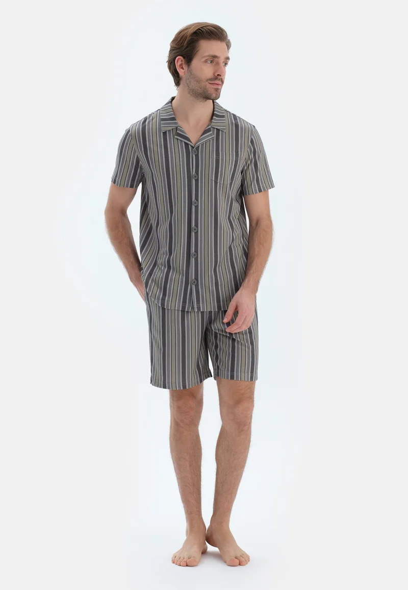 Striped Regular/Classic Fit Shirt & Shorts Pajama Sets Spread Collar Cotton Blend Sleepwear