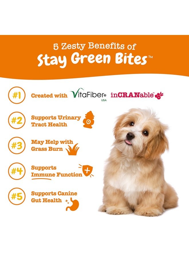 Zesty Paws Zesty Paws Stay Green Bites for Dogs - Grass Burn Soft Chews for Lawn Spots Caused by Dog Urine - with Cranberry for Urinary Tract & Bladder - Chicken - 90 Count  - Image 2