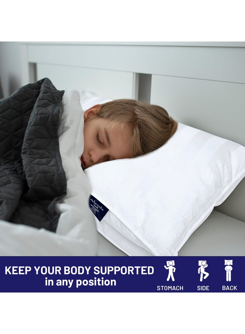 DrSleeep Luxury Adjustable Pillows with Zipper – Down Alternative Fill & 100% Bamboo Cooling Cover, Queen Size (Set of 2) – 1250g Fill, Customizable Firmness, Hypoallergenic, Ultra-Soft, Hotel Quality – White