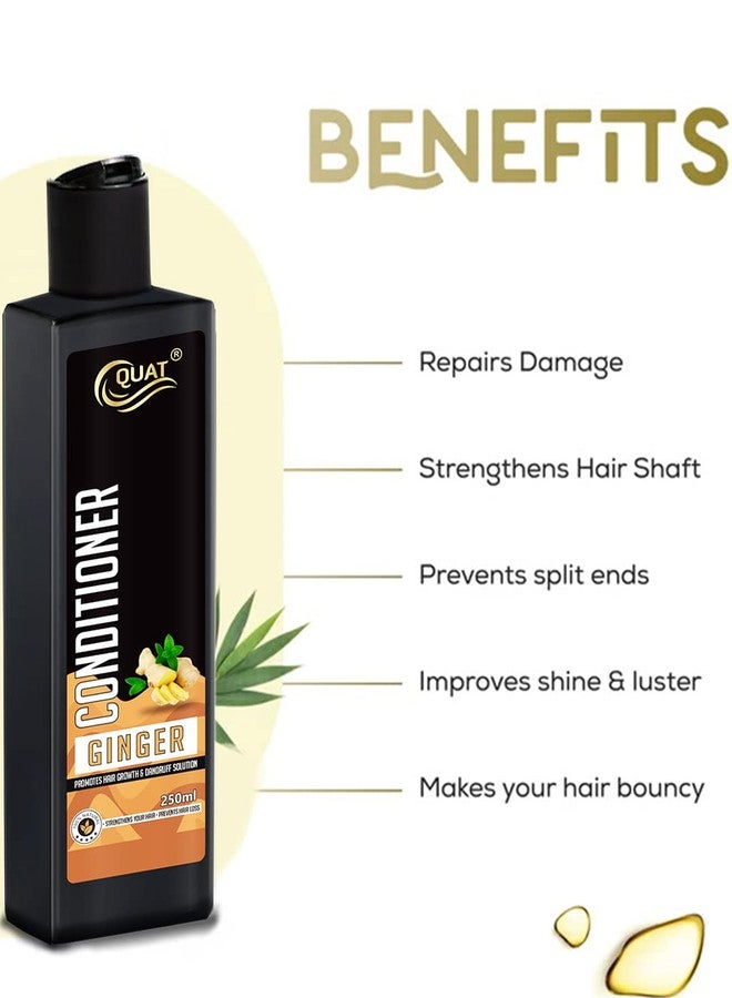 QUAT Ginger Conditioner, Nourishes, Repair & Shine, For Long and Lifeless Hair, Dream Lengths (250ml) - Image 2