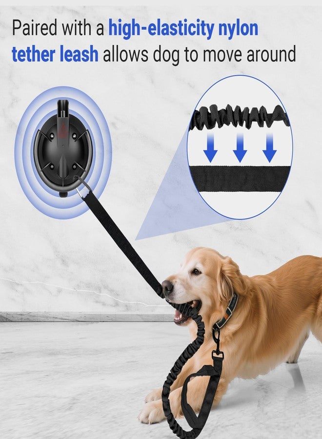 Ruppence Dog Bathing Suction Cup with Tether, High Elasticity Nylon Dog Bathing Tether Leash with Powerful Suction Cup for Pet Puppy Cat Shower,Trimming, Grooming - Image 5