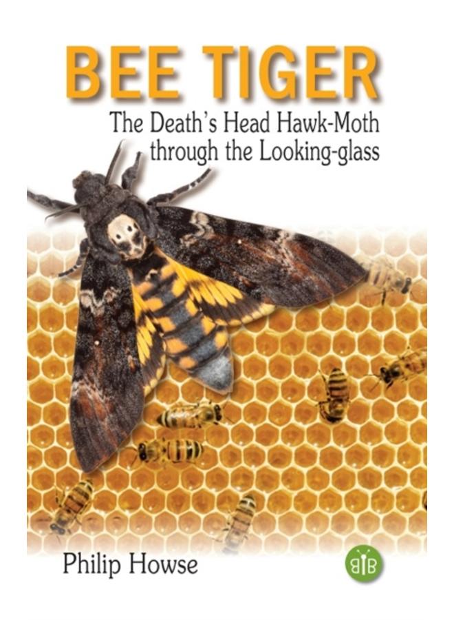 Bee Tiger : The Death's Head Hawk-moth through the Looking-glass 