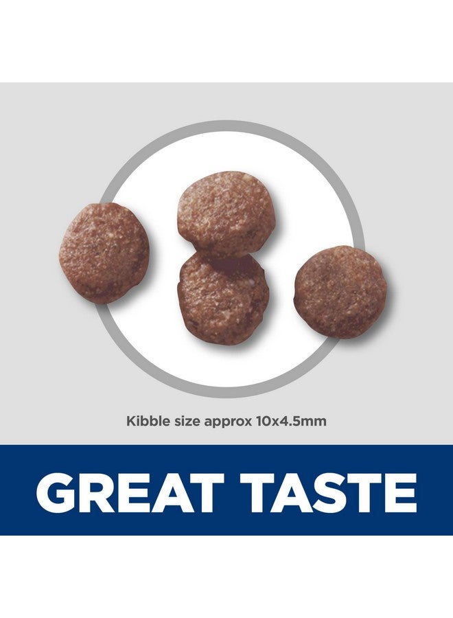 هيلز ساينس دايت بابي، طعام جاف للكلاب من بريميوم نيوتريشن، لحم ضأن وأرز بني، كيس 4 أرطال - Image 2