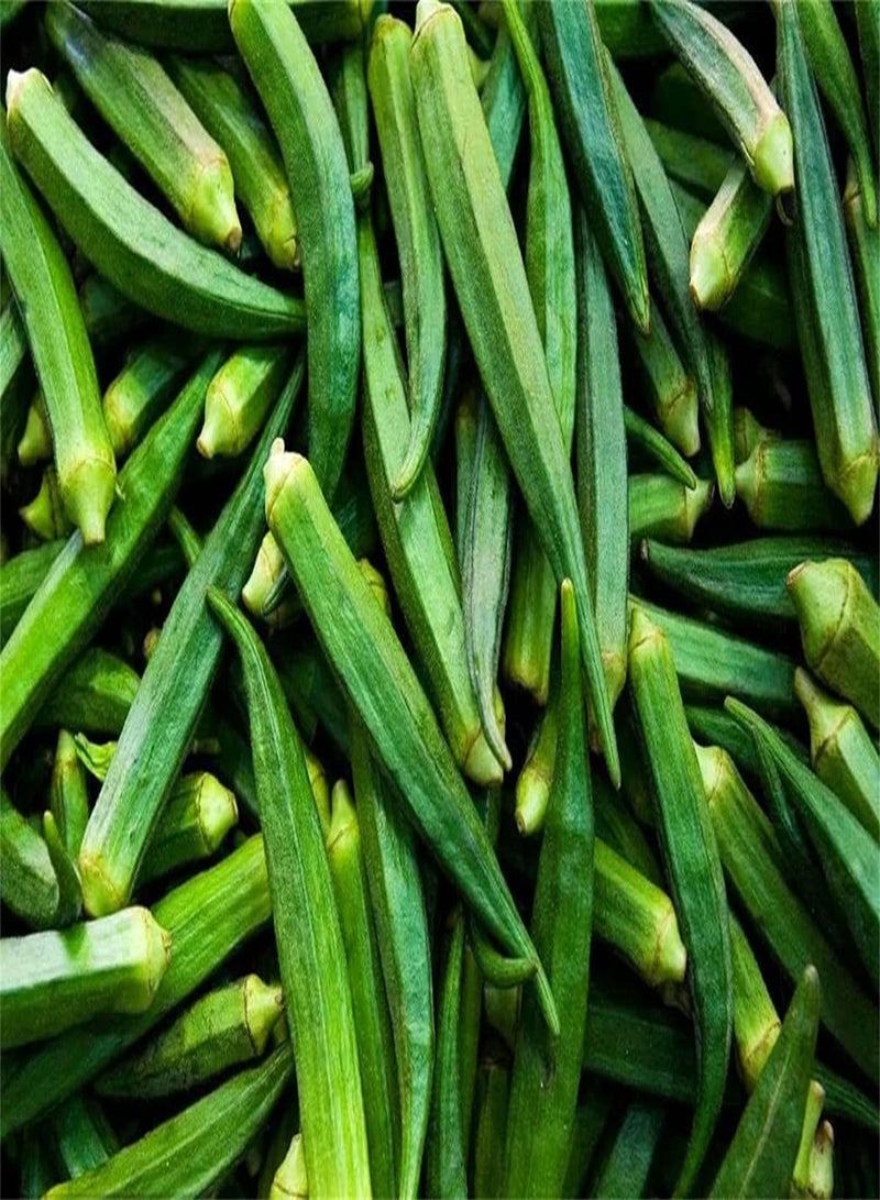 جي جوت مجموعة بذور البامية للزراعة، بذور هدايا، بذور مزروعة مباشرة، بذور خارجية لذيذة في المملكة المتحدة - Image 2