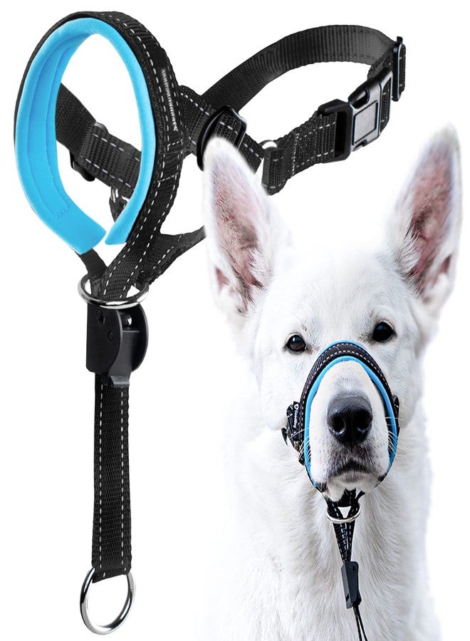 GoodBoy Dog Head Halter with Safety Strap - Stops Heavy Pulling On The Leash - Padded Headcollar for Small Medium and Large Dog Sizes - Head Collar Training Guide Included (Size 2, Blue) - Image 1