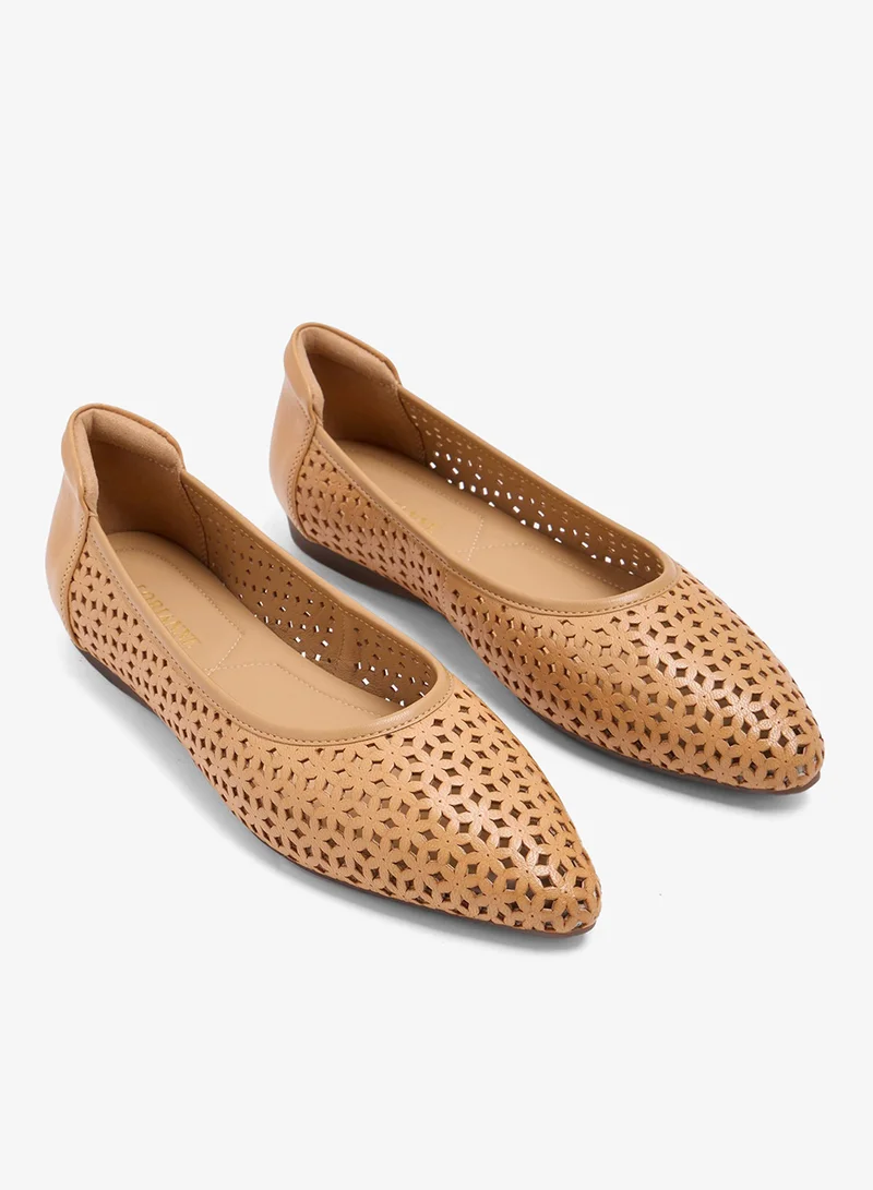 LORIANNE  Aretha-Re - Ballerinas for Women | Best Price UAE