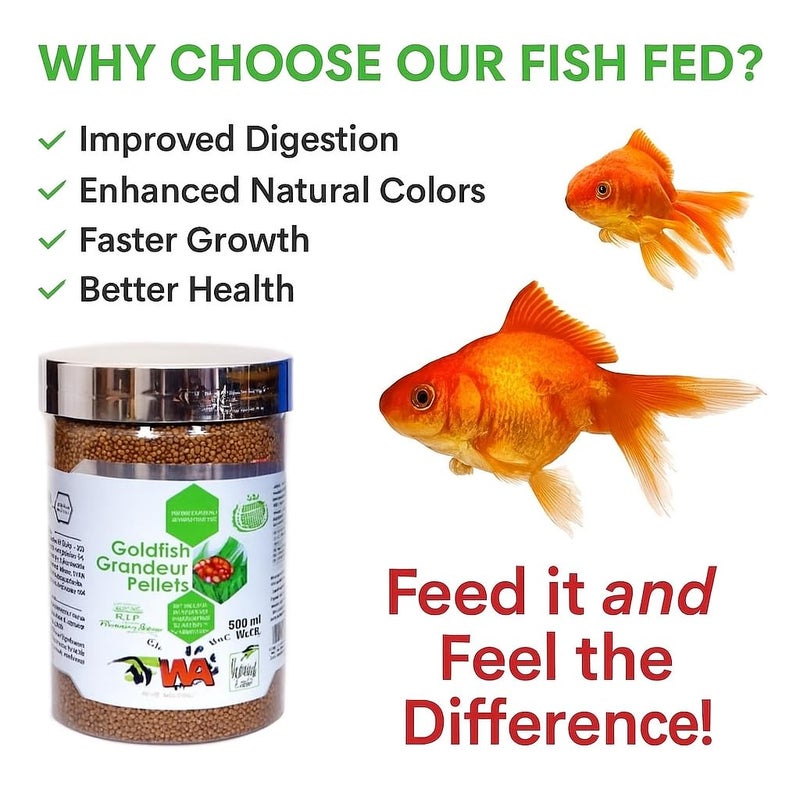 VAYINATO طعام سمك WA Goldfish Grandeur العائم، 200 جرام (500 مل) | طعام لجميع الأسماك آكلة اللحوم - Image 3