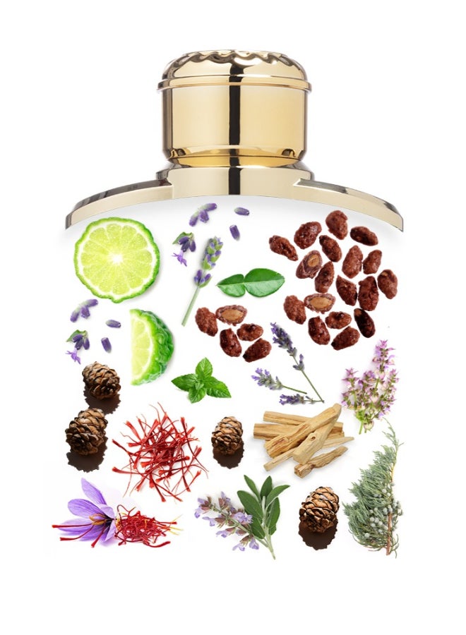 Character Jardin Del Cielo Aquamarine - Image 3