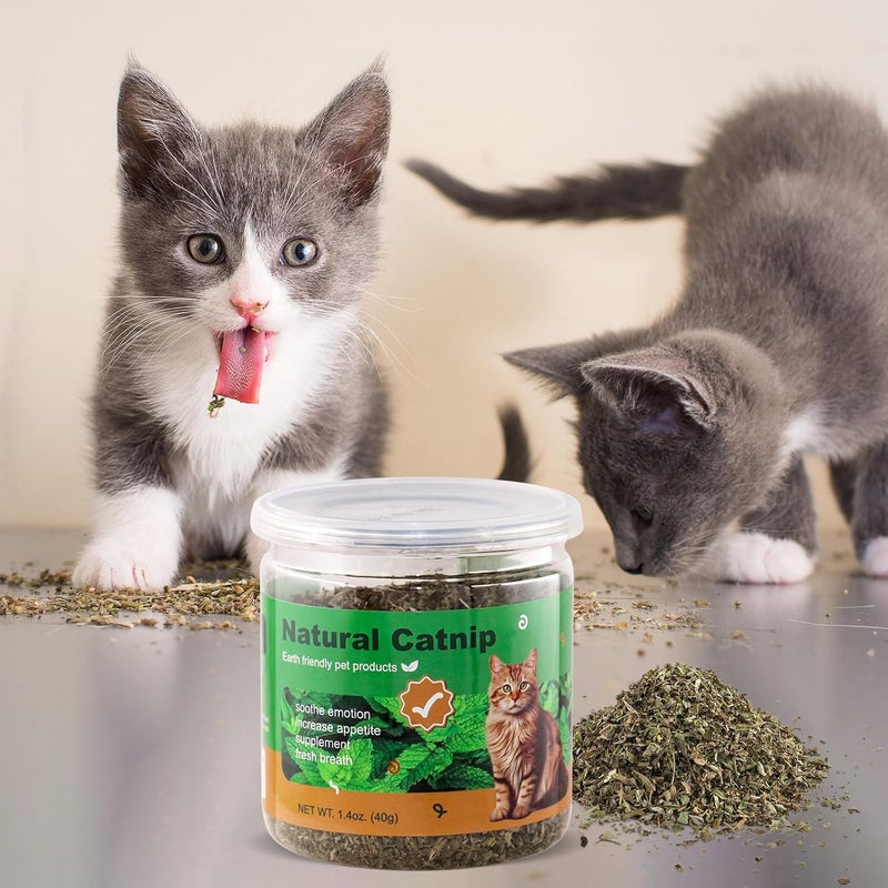 TZL Natural Dried Catnip, Premium Cat Nip for Indoor Cats, Use for Refillable Catnip Toys for Cat Play, Training 40g - Image 3