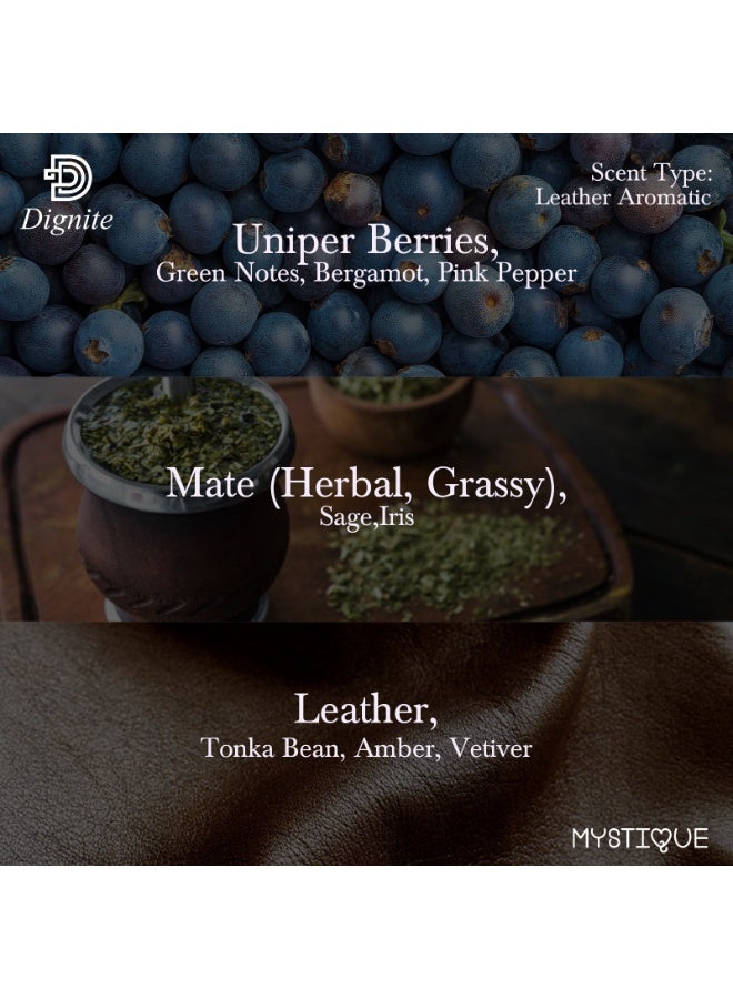 DIGNITE MYSTIQUE 100ML EDP  For Him & Her - Image 4