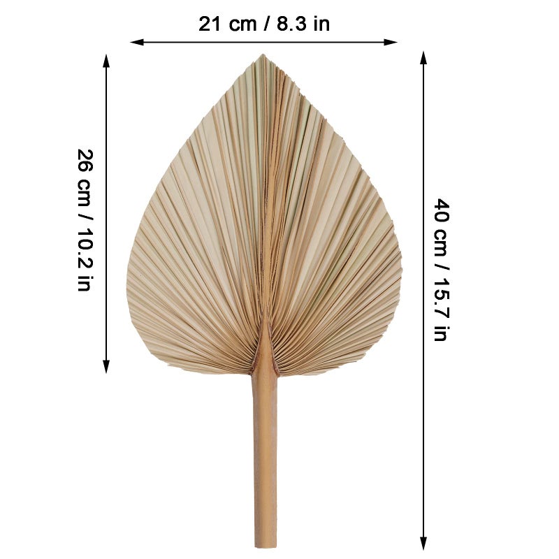 Rbenxia 4 Pieces Natural Dried Palm Leaves Heart Shape Boho Palm Fans Tropical Palm Leaves Dried Flowers for Holidays Weddings Party Baby Shower Decor - Image 2