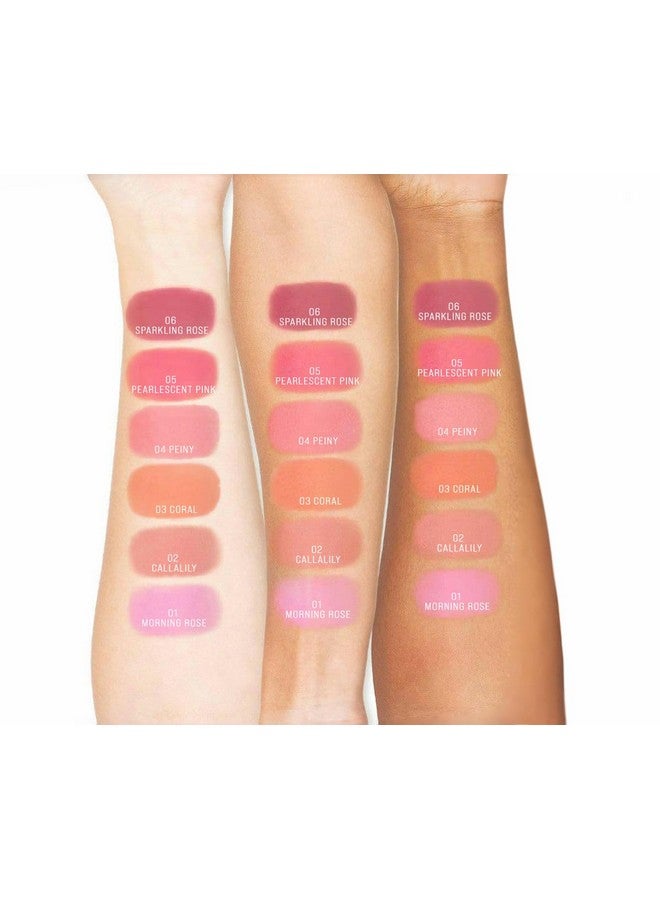TINTARK Cheeky Blush Compact for Face Cheeks, Talc Free Blusher Palette, Matte Powder Makeup, Natural Healthy, Mauve Pink Magenta Peach Red, Vegan Cruelty Free - Image 3