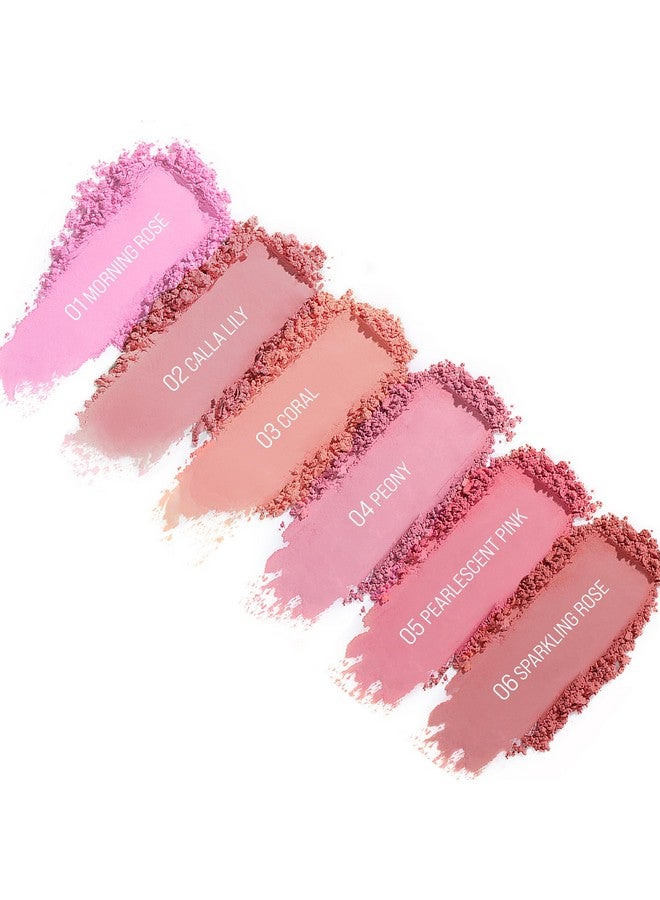 TINTARK Cheeky Blush Compact for Face Cheeks, Talc Free Blusher Palette, Matte Powder Makeup, Natural Healthy, Mauve Pink Magenta Peach Red, Vegan Cruelty Free - Image 5