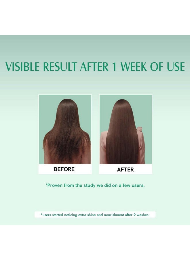 Aravi Organic Rosemary Hair Growth Shampoo - Enriched With Rosemary, Green Tea & Caffeine - For All Hair Types - For Men & Women - Sulfate & Paraben Free 200 Ml  - Image 4