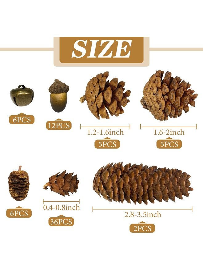 يُسلِّم مجموعة زينة من 38 قطعة من مخاريط الصنوبر والبلوط الطبيعية، وتنسيقات زهور صناعية من التوت ومخاريط الصنوبر لتزيين المنزل في فصل الخريف، وقطع مركزية لحفلات الزفاف، والأعمال اليدوية - Image 2