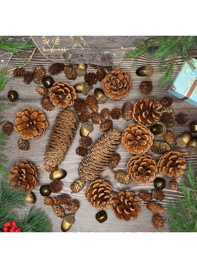 يُسلِّم مجموعة زينة من 38 قطعة من مخاريط الصنوبر والبلوط الطبيعية، وتنسيقات زهور صناعية من التوت ومخاريط الصنوبر لتزيين المنزل في فصل الخريف، وقطع مركزية لحفلات الزفاف، والأعمال اليدوية - Image 1