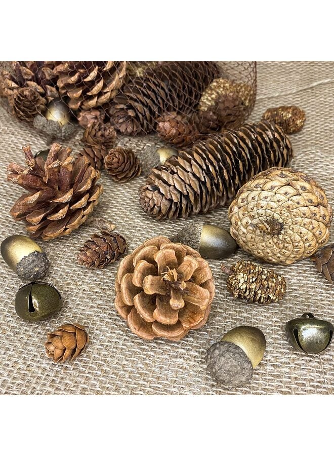 يُسلِّم مجموعة زينة من 38 قطعة من مخاريط الصنوبر والبلوط الطبيعية، وتنسيقات زهور صناعية من التوت ومخاريط الصنوبر لتزيين المنزل في فصل الخريف، وقطع مركزية لحفلات الزفاف، والأعمال اليدوية - Image 3