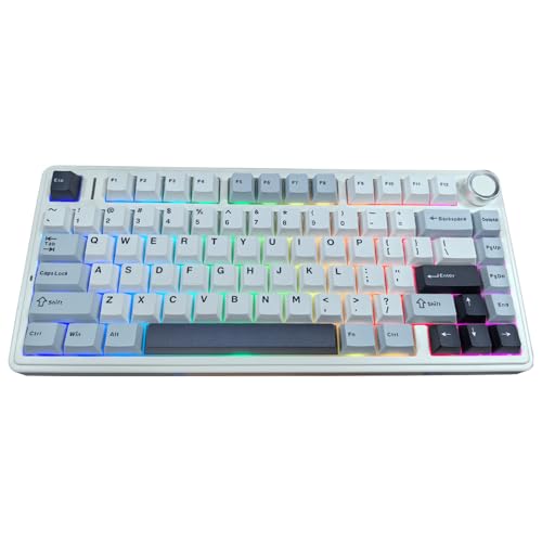 Shaking Tank x Aula F75 Gasket Mechanical Keyboard, 75% Wireless Hot Swappable Gaming Keyboard with Five-Layer Padding&Knob, Bluetooth/2.4GHz/USB-C, RGB (Light Blue, Ice Vein Switch) - Image 1