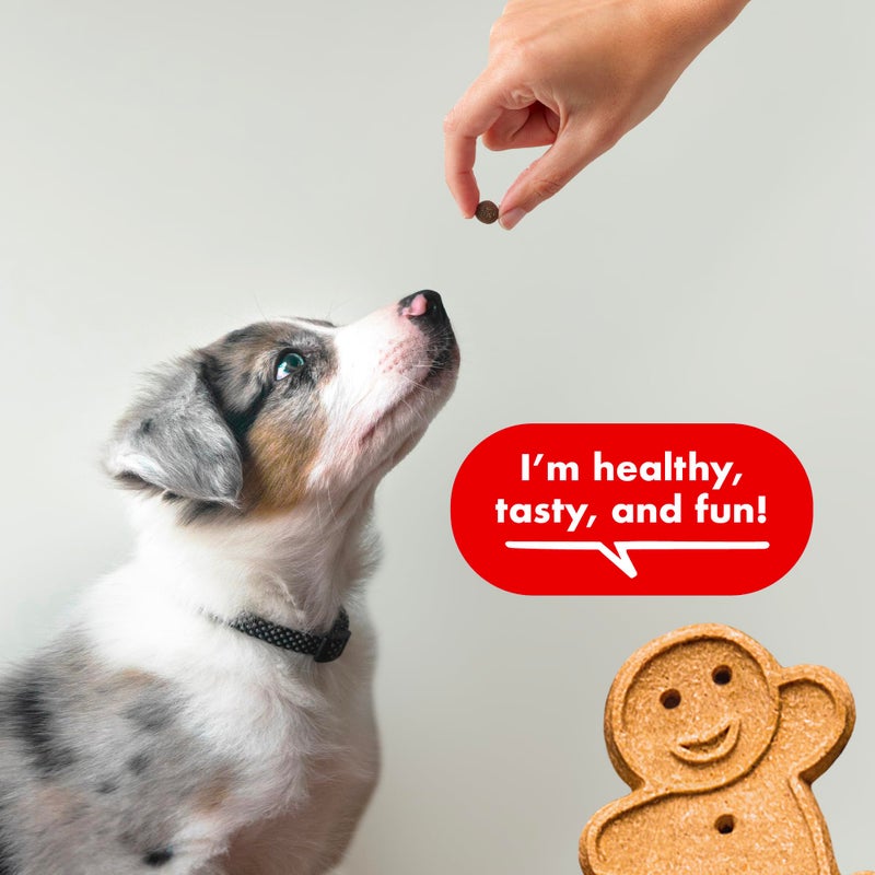 Buddy Biscuits Trainers Training Bites Soft & Chewy Dog Treats, Beef, 10 oz. Bag - Image 4