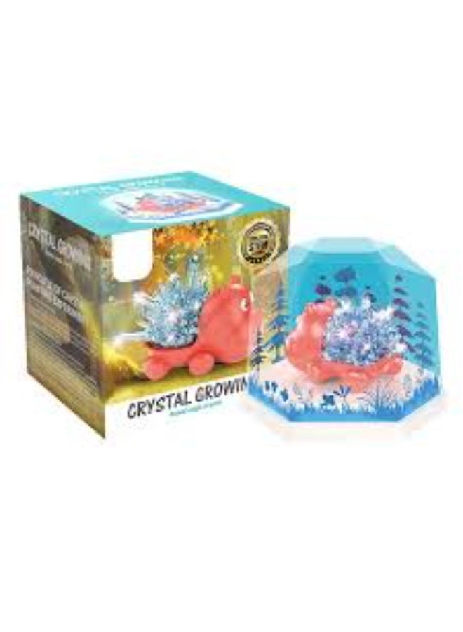 DIY 3D Crystal Growing Kit Science Experiment - Image 1