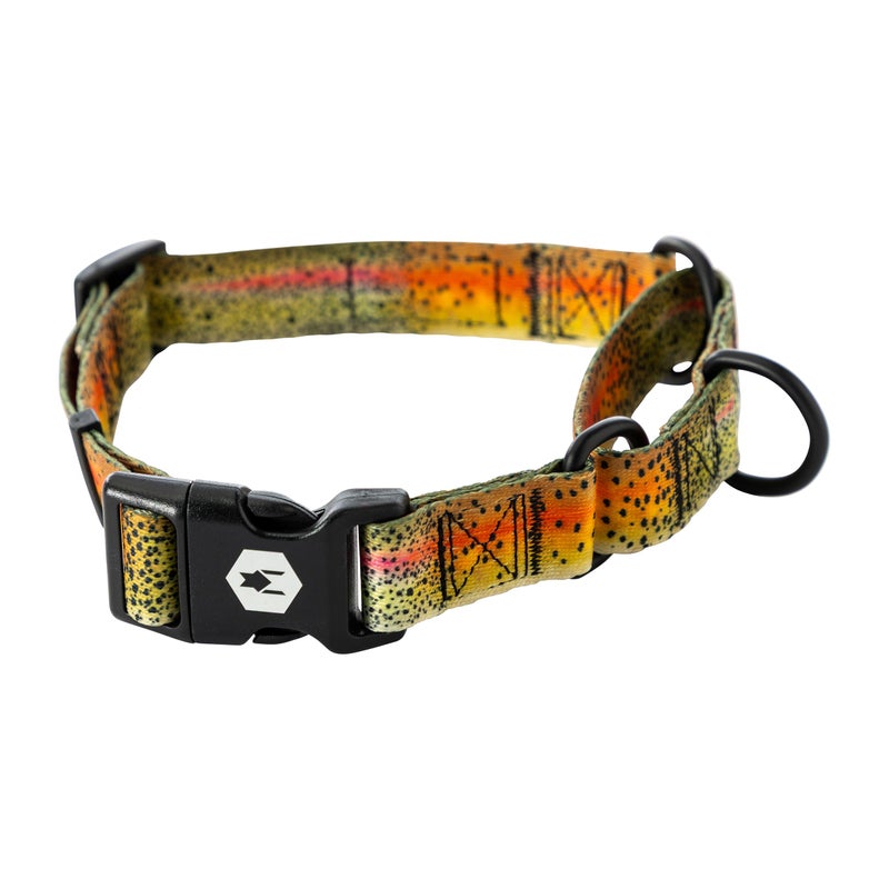 Wolfgang Man & Beast Wolfgang Heavy Duty Martingale Dog Collar with Quick Release Nylon Buckle for Walking & Training, CutBow Print, Large - Image 1