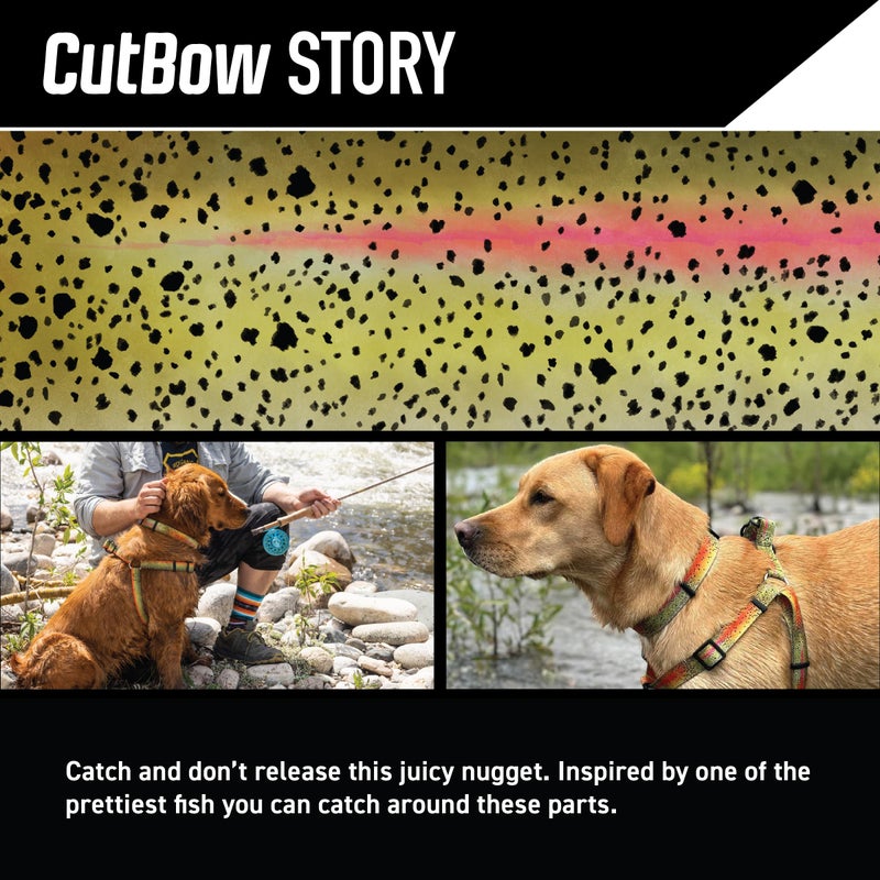 Wolfgang Man & Beast Wolfgang Heavy Duty Martingale Dog Collar with Quick Release Nylon Buckle for Walking & Training, CutBow Print, Large - Image 2