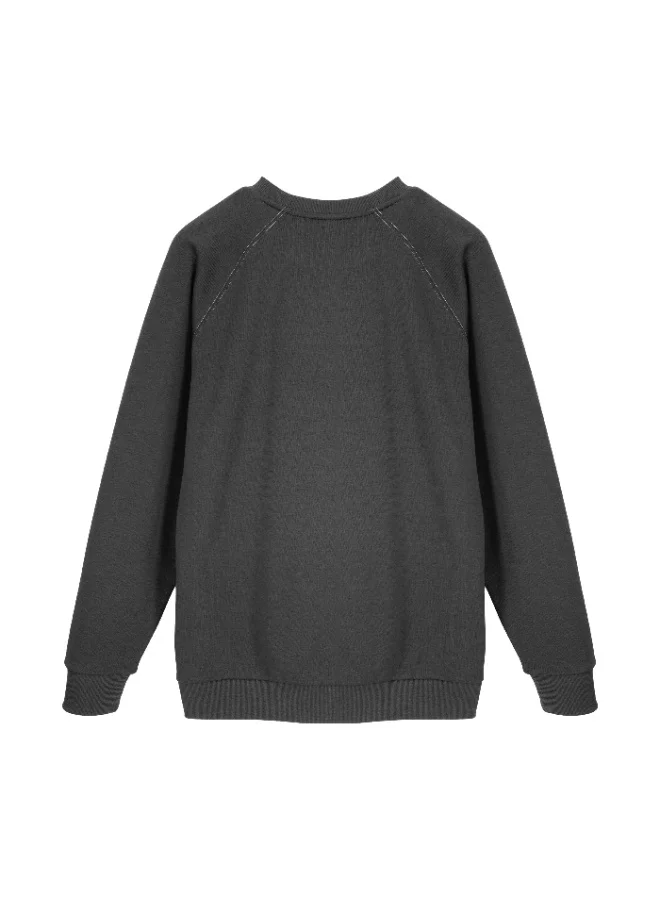 سيدرو CEDRO MEN'S CASUAL REGULAR FIT LIGHT WEIGHT DURABLE SMALL LOGO LONG SLEEVE CREW NECK SWEATSHIRT
