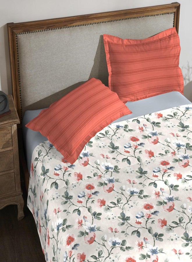 Trident Bedsheet for Double Bed, 210 TC 100% Cotton bedsheet Set (1 King Bedsheet and 2 Standard Pillow Covers) Super Soft, House of Bloom Collection-Flora Archive - Image 4