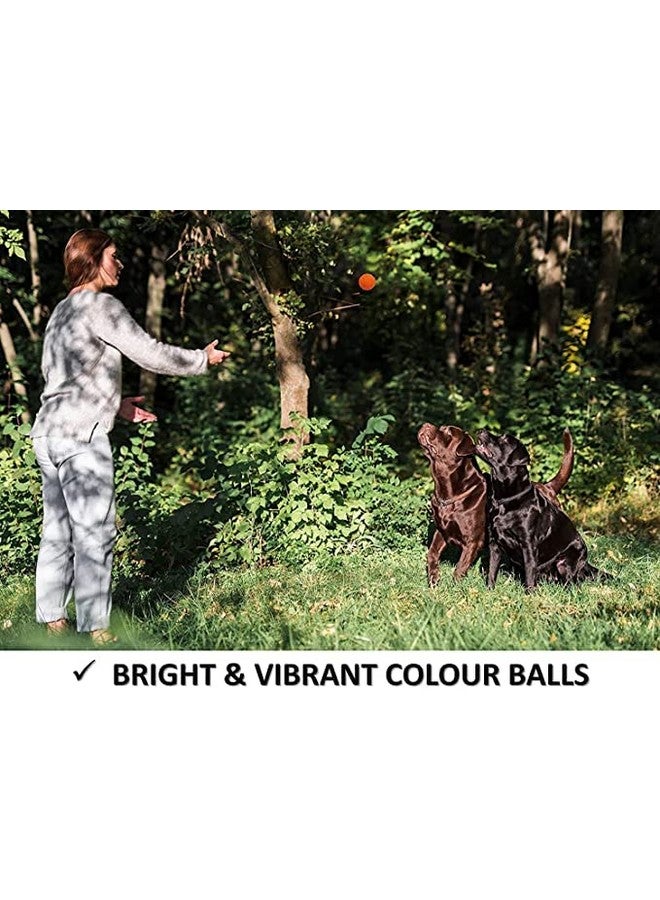 ألعاب كرات مطاطية قوية طبيعية عالية الارتداد للكلاب والقطط - حجم صغير (متعدد الألوان) - Image 5